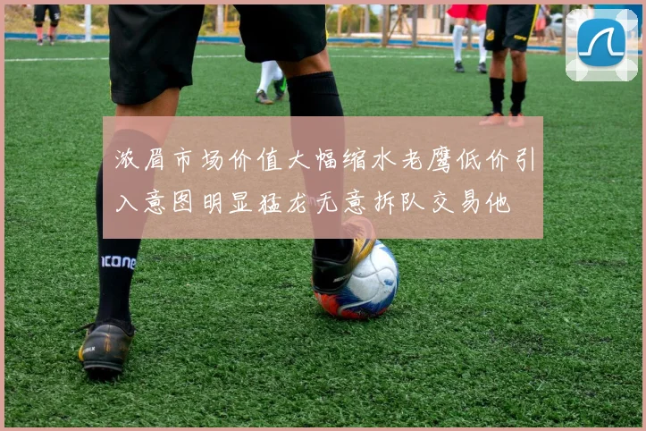 浓眉市场价值大幅缩水老鹰低价引入意图明显猛龙无意拆队交易他