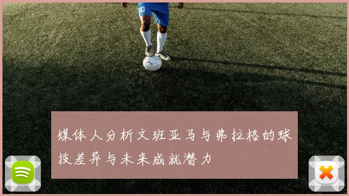 媒体人分析文班亚马与弗拉格的球技差异与未来成就潜力